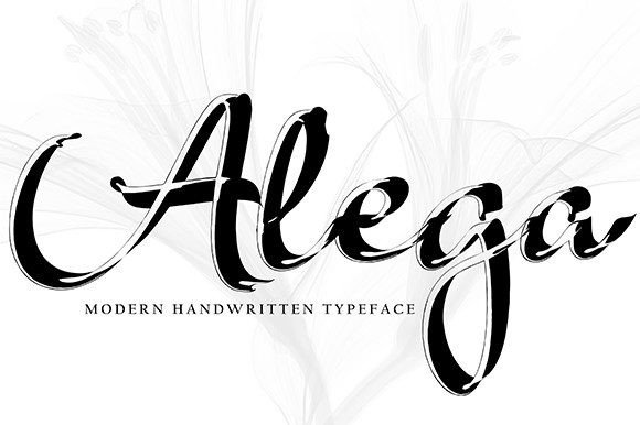 Alega Fonts Review: A Quirky Script Amp for Modern Bloggers