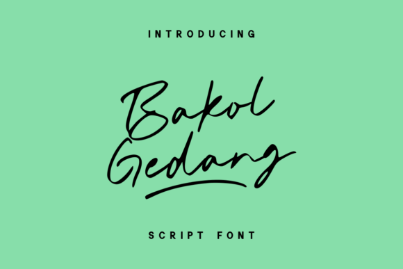 Bakol Gedang Fonts for Script Amp Projects