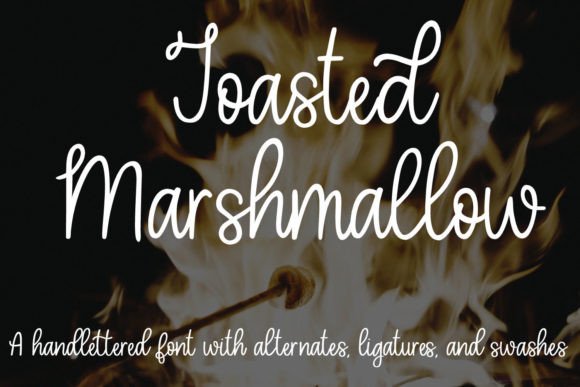 Toasted Marshmallow Fonts: A Script Amp Review for Sellers